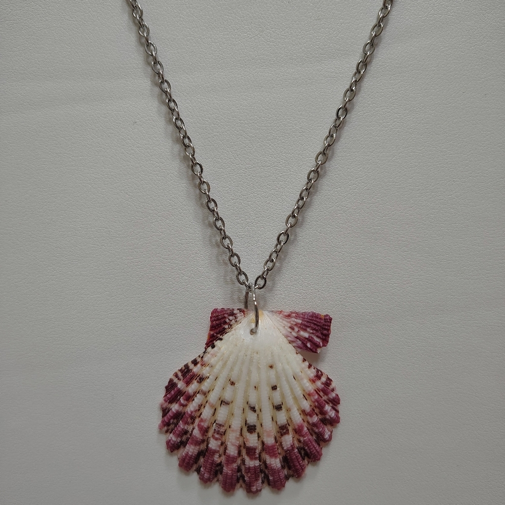 Royal Cloak Scallop Pendant Necklace on 18" Stainless Steel Chain
